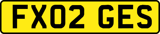 FX02GES