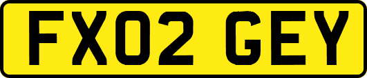 FX02GEY