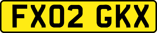 FX02GKX