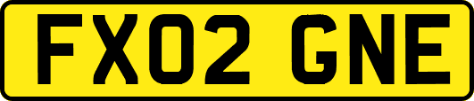 FX02GNE