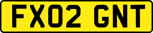 FX02GNT