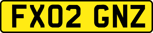 FX02GNZ