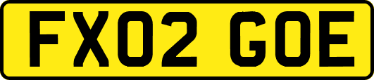FX02GOE