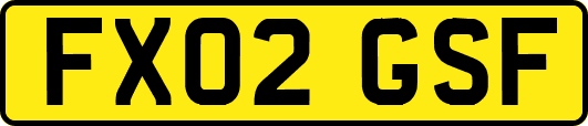 FX02GSF