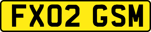 FX02GSM