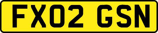 FX02GSN