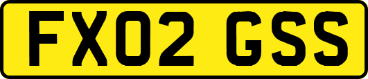 FX02GSS