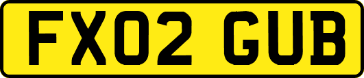 FX02GUB