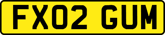 FX02GUM