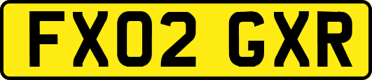 FX02GXR