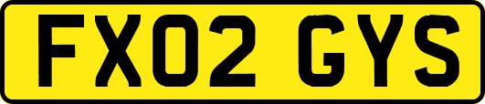 FX02GYS