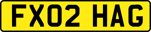FX02HAG