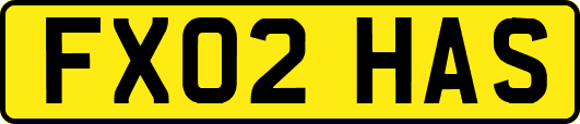 FX02HAS
