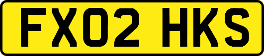 FX02HKS