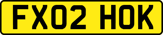 FX02HOK