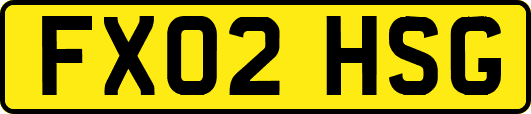 FX02HSG