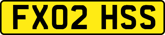 FX02HSS