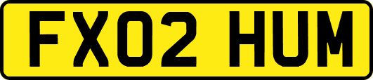 FX02HUM
