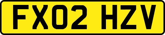 FX02HZV
