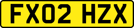 FX02HZX