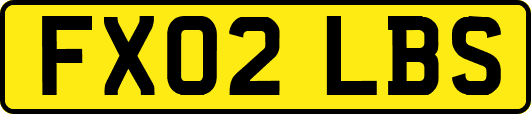 FX02LBS