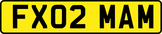 FX02MAM