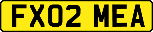 FX02MEA