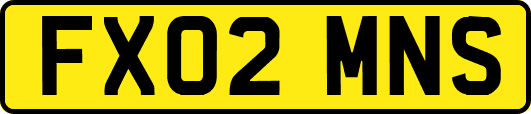 FX02MNS