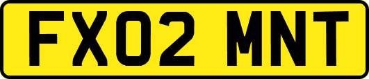 FX02MNT
