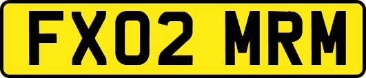 FX02MRM