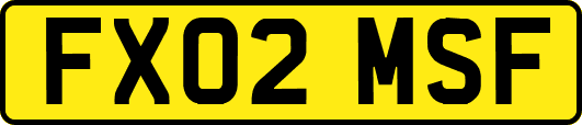 FX02MSF