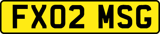 FX02MSG