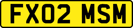 FX02MSM