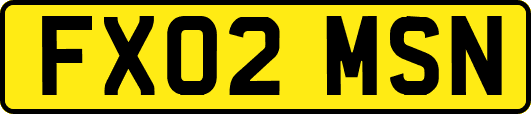 FX02MSN