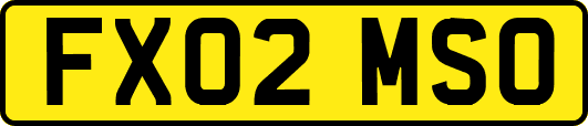 FX02MSO