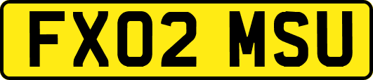 FX02MSU
