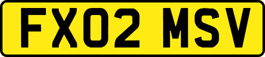 FX02MSV