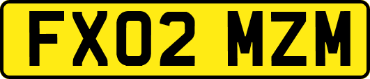 FX02MZM
