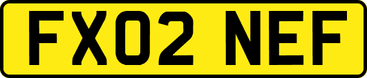 FX02NEF