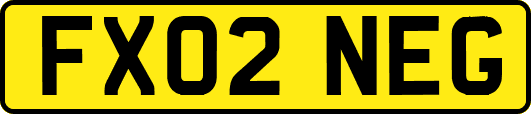 FX02NEG
