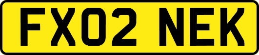 FX02NEK