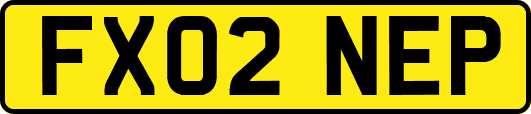 FX02NEP