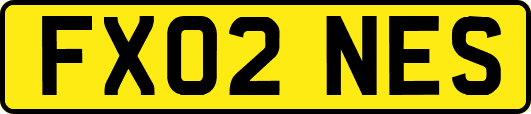 FX02NES