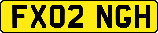 FX02NGH