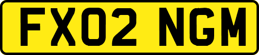 FX02NGM