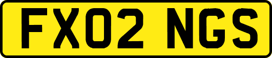 FX02NGS