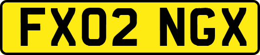FX02NGX