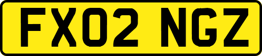 FX02NGZ