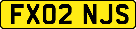 FX02NJS