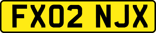 FX02NJX